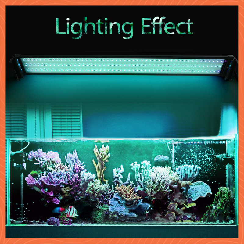 Aligament Aquarium LED Lighting Kit Wayfair
